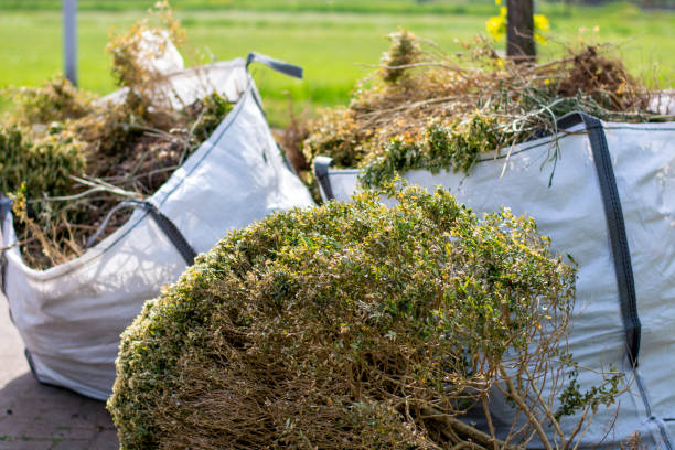 Best Local Junk Hauling  in Taylor, PA